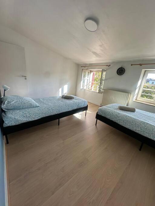 Le Leon Cladel T3 Proche Parking Gratuit Apartman Montauban Kültér fotó