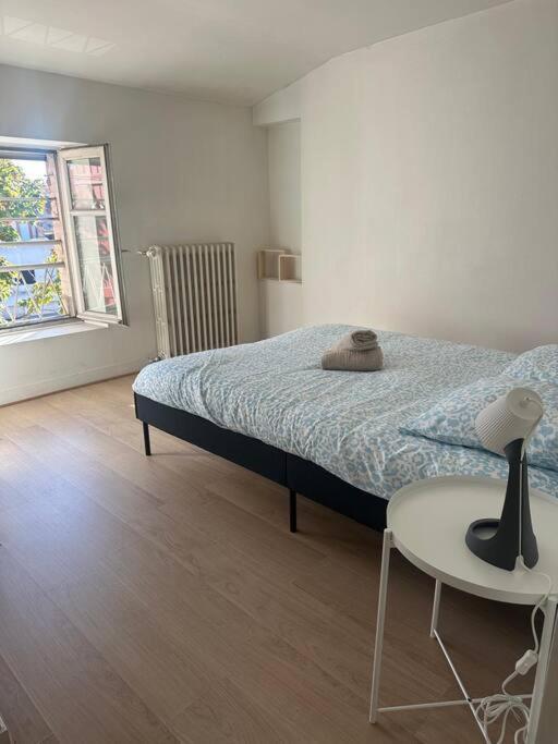 Le Leon Cladel T3 Proche Parking Gratuit Apartman Montauban Kültér fotó